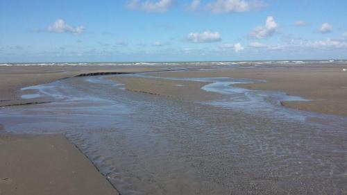 a view of a beach with a stream of water at Logies Villa Zilt in Koksijde