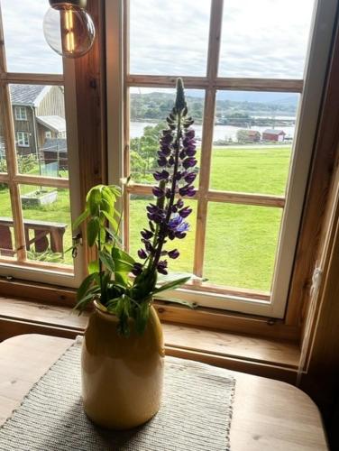 a vase with purple flowers sitting on a window sill at Åkviktunet hytte nord in Averoy
