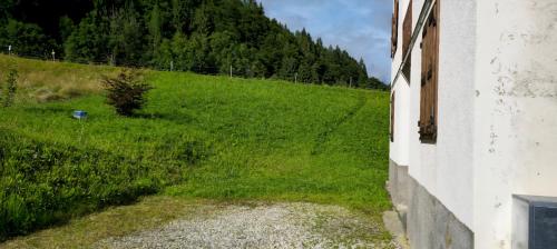 Příroda nedaleko apartmánu