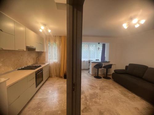 a kitchen and a living room with a couch at Ywa in Râmnicu Vâlcea