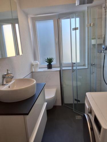 a bathroom with a sink and a toilet and a shower at Ferienwohnung in Weil am Rhein
