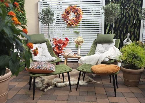 a patio with two green chairs and a dog laying on the ground at City APART - FeWo Klimaanlage Whirpool Panoramafenster 5 Personen Kulturdenkmal Dessau-Roßlau in Dessau