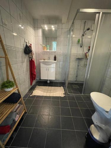 ein Badezimmer mit Dusche und Waschbecken in der Unterkunft Timrad Stuga med dubbelsäng - bathroom and kitchen in main house in Hedemora