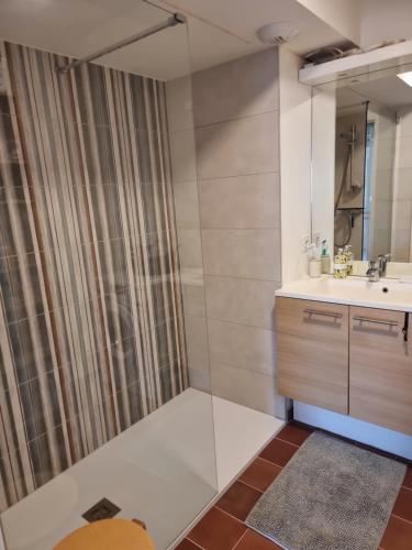 a bathroom with a shower and a sink at Appartement F3 Carolina - Triangle Annecy, Chamonix, Genève in Reignier