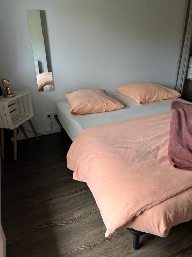 two twin beds in a room with a mirror at Chambre indépendante au pied de la Rhune in Urrugne