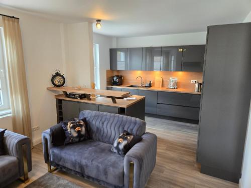 zwei Hunde sitzen auf einem Sofa in einer Küche in der Unterkunft City Apartment in Bremen