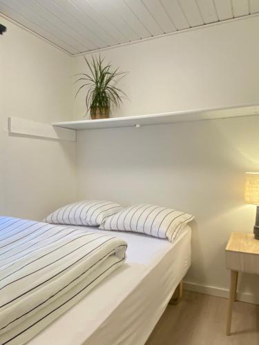 a bed in a room with a plant on a shelf at Ålevænget 1 in Gedsted