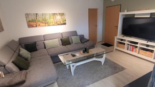 a living room with a couch and a tv at Ferienwohnung Am Meisenberg in Marsberg