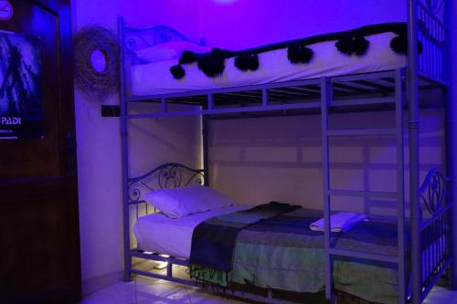 a bedroom with two bunk beds in a purple room at Bright Wave Surfhouse in Tamraght Ouzdar