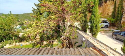 a car parked on a road next to a tree at Edem Studios in Sivota