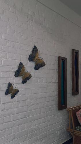 a group of butterflies on a white wall at Coral Country Homestay in Agra