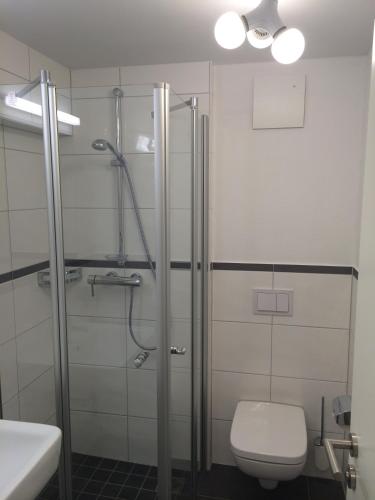 a bathroom with a shower and a toilet and a sink at Ferienzimmer Lütt in Juliusruh