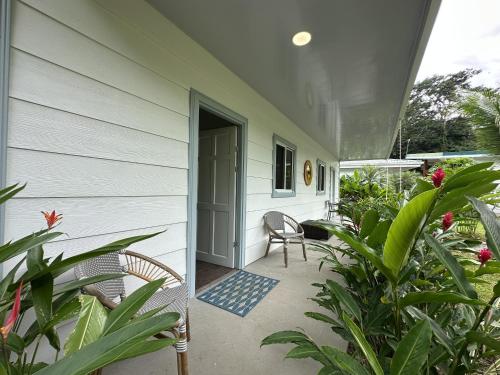 a porch with chairs and plants on a house at Standard King Room in Punta Uva