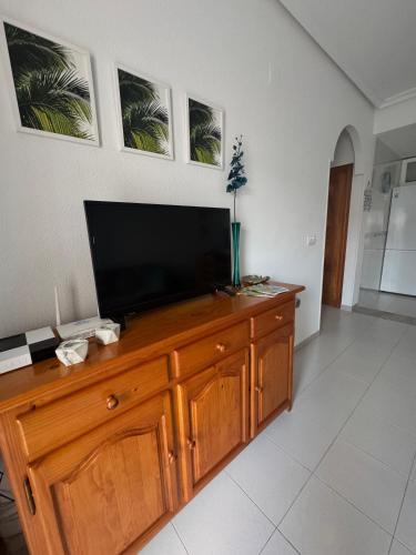 Apartment in La Mata Parquemar
