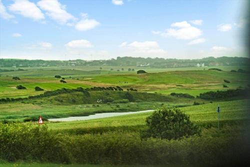 a green field with animals in the distance at G608-Lemvig-Gyvelvej-8 in Lemvig