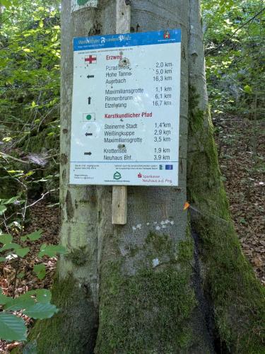a sign on the side of a tree at Villa Viola 