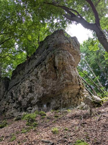 a large rock sitting on the ground under a tree at Villa Viola 