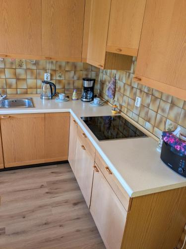 a kitchen with wooden cabinets and a counter top at Villa Viola 
