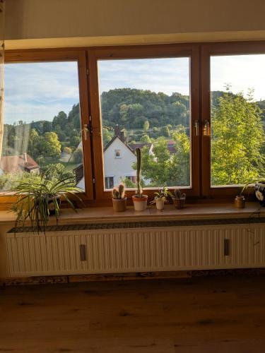 a window with potted plants on a window sill at Villa Viola 