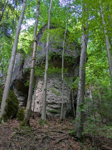a rock in the middle of a forest with trees at Villa Viola 