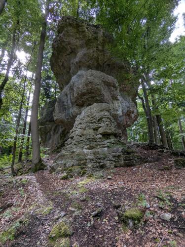 a large rock sitting on a hill in the woods at Villa Viola 