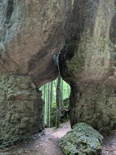 a cave in a large rock in a forest at Villa Viola 