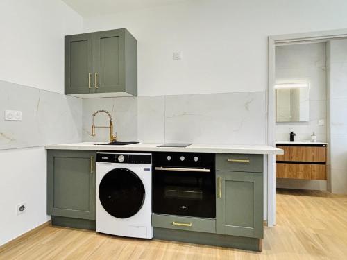 a kitchen with green cabinets and a dishwasher at Le Salvator - Mulhouse in Mulhouse