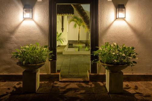 two potted plants inront of a building with lights at Villa 46 in Hikkaduwa