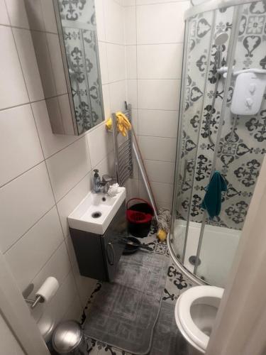 a bathroom with a shower and a sink and a toilet at Harrow and Wealdstone studio in Harrow