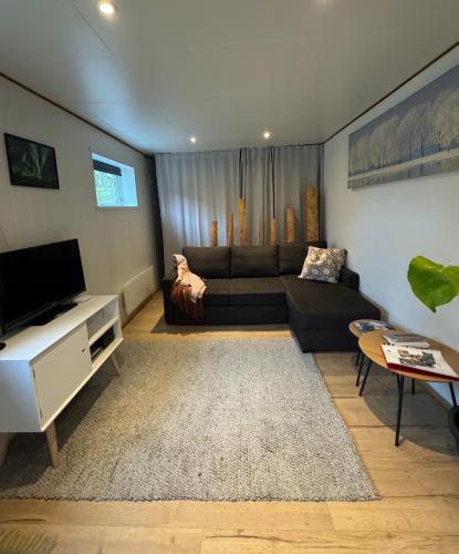 a living room with a couch and a tv at The Crush in Ersfjordbotn
