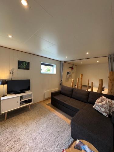 a living room with a couch and a television at The Crush in Ersfjordbotn