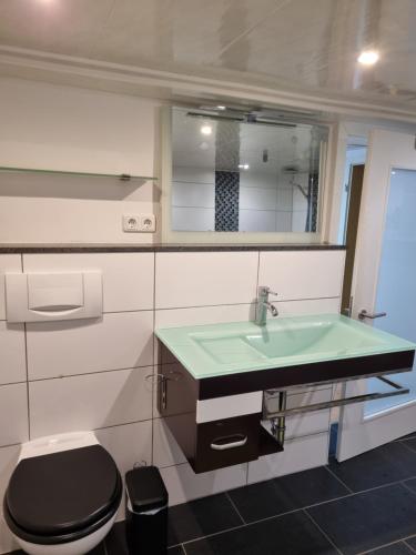 a bathroom with a green sink and a toilet at Natur in Blankenhain