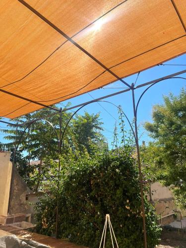 トゥーロンにあるRosa Bonheur house parking Gardenの茂みのある庭の上にある大きな傘