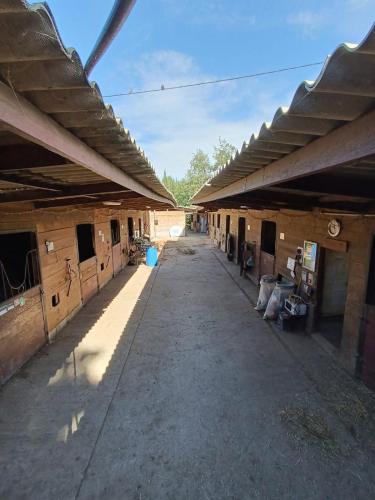 Φωτογραφία από το άλμπουμ του Logement dans un centre équestre σε Contes