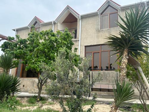 a house with a palm tree in front of it at Kingasimov in Baku