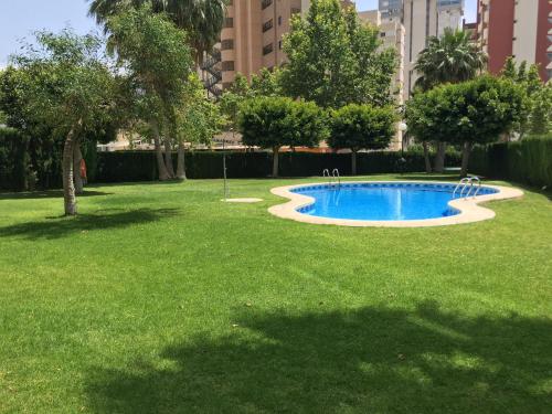 a small pool in the middle of a grass field at Monver 10 in Benidorm