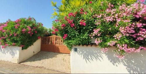 Jardín al aire libre en Divine ROUJAN Sunny Lodge