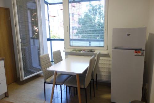 Kuchyň nebo kuchyňský kout v ubytování Apartmán Sofia