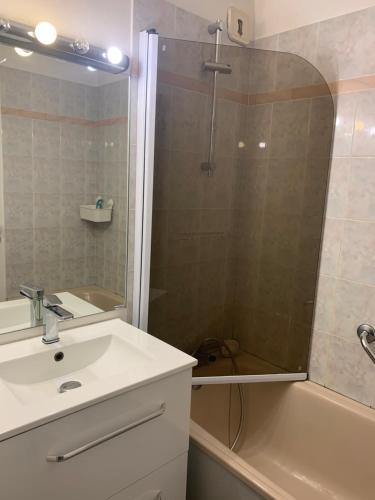 ein Badezimmer mit Dusche, Waschbecken und Badewanne in der Unterkunft Appart T2 Cabine Village Saint Lary Soulan in La Celle-sous-Gouzon