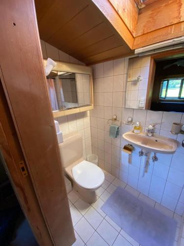 a bathroom with a toilet and a sink at Le Petit Rêve in Les Breuleux