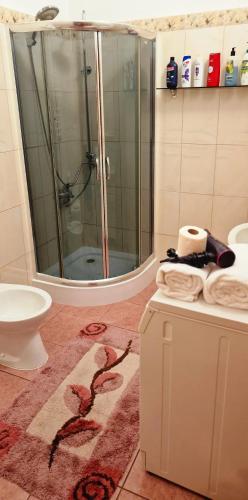 a bathroom with a shower and a toilet and towels at City Center Apartament in Ternopil