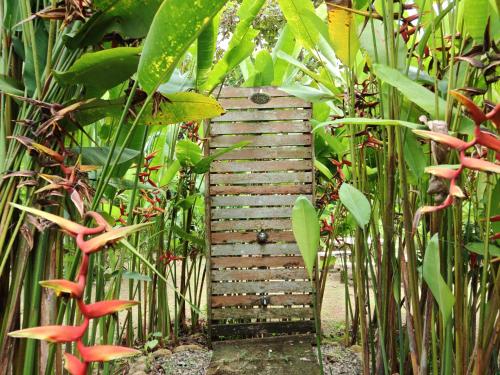 a wooden pathway through a garden with plants at La Cuna Inn in Puerto Jiménez