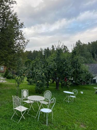 un groupe de tables et de chaises dans l'herbe dans l'établissement Cozy cottage by the lake, next to the old watermill, à Võru