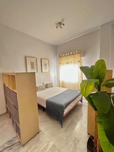 Hispalis Santa Angela