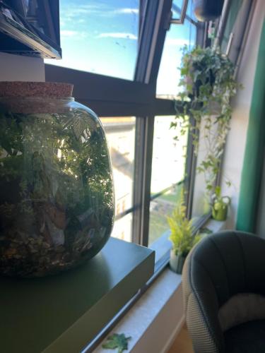 a vase sitting on a shelf in front of a window at Jungle apartment in Brno