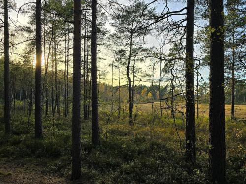 Gambar di galeri bagi 4 person holiday home in Hillerstorp-By Traum di Hillerstorp