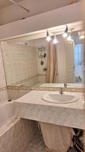 a bathroom with a sink and a large mirror at Bright T2 Workspace & WiFi Fiber, 5 min to Sophia Antipolis, 10 to Antibes in Mougins