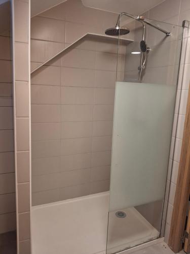a shower with a glass door in a bathroom at Appartement loft in Mandeure