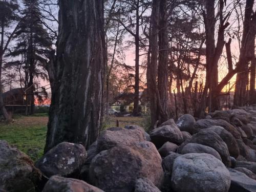 a pile of rocks in front of a tree at Casas Viejas de Rauco, casa patrimonial en el campo in Curicó