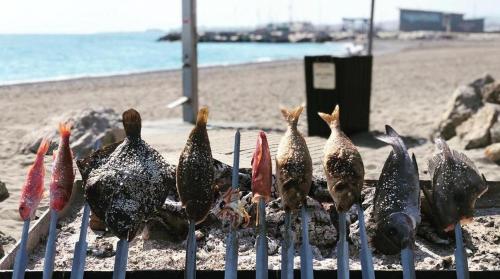 a group of chickens standing on the beach at Casa Torrox Costa cerca del mar in Torrox
